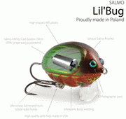 LilBug