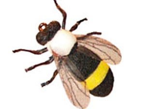 Bumblebee - Kattintásra bezárul