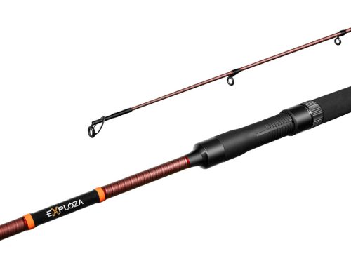 Delphin EXPLOZA HARD 60gr 210cm