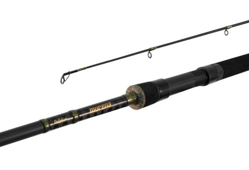 Delphin MURENA 100gr 210cm