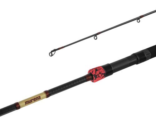 Delphin MURENA POWER 125gr 300cm