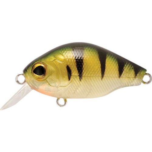 Rapture BB Crank 05 GGL