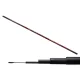 CARP EXPERT EVOLUTION POWER POLE 4M