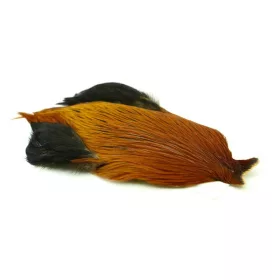 Whiting 4 B's Rooster Cape Greenwell (73801086)