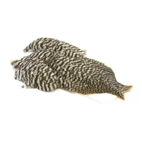 Whiting 4 B's Hen Cape Grizzly (74801001)