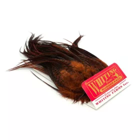   Whiting Bugger Pack Grizzly dyed Coachman Brown (91871149) Grizzly Dyed Coachman Brown