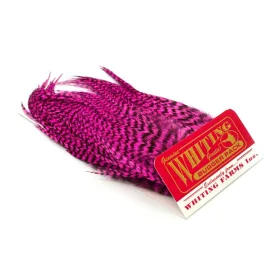   Whiting Bugger Pack Grizzly dyed Pink (91871153) Grizzly Dyed Pink