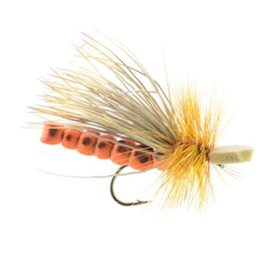 Traun River October Caddis Adult 57-0043