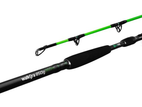 Delphin WALKYRA  260cm