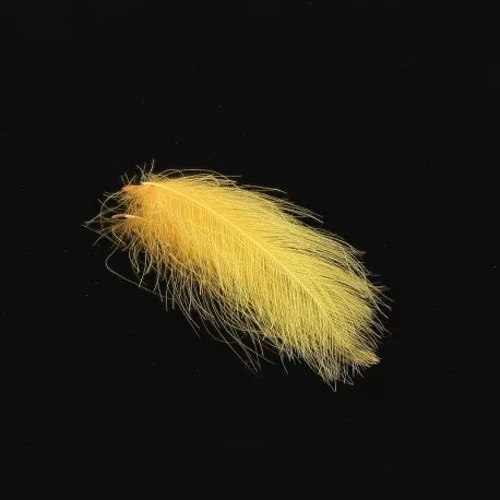 Hends CDC 17 Peach Light