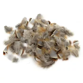 Traun River Fogoly Toll 1gr Természetes