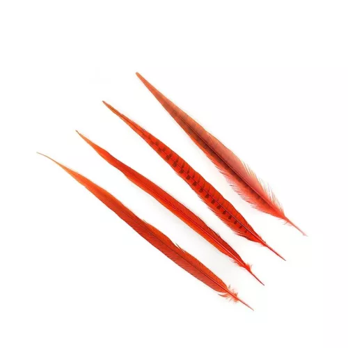 Kaland Fácántoll Narancs