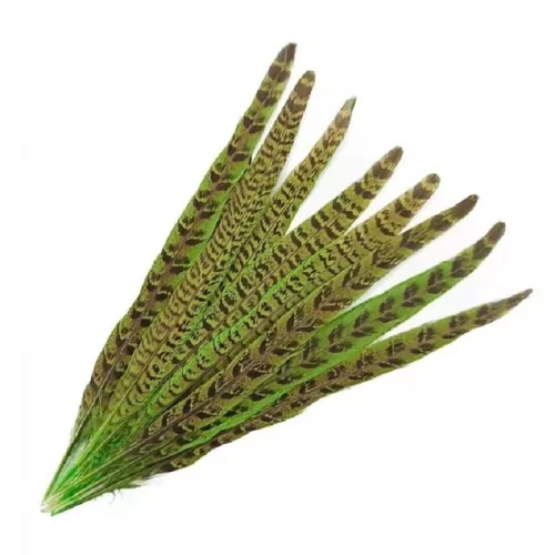 Kaland Fácántoll Olív