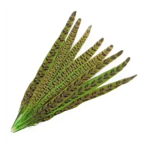 Kaland Fácántoll Chartreuse