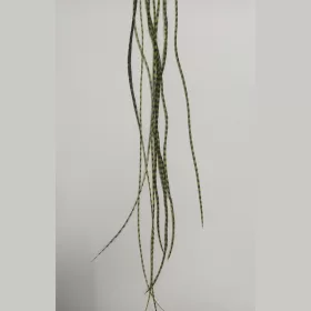 Kaland Whiting Saddle Grizly / Olív