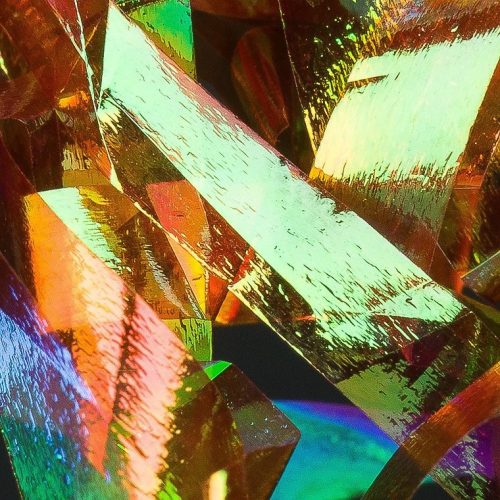 Hends Shellback 10 Brown