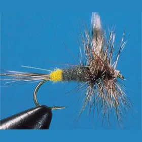 Traun River Adams Female 53-3206