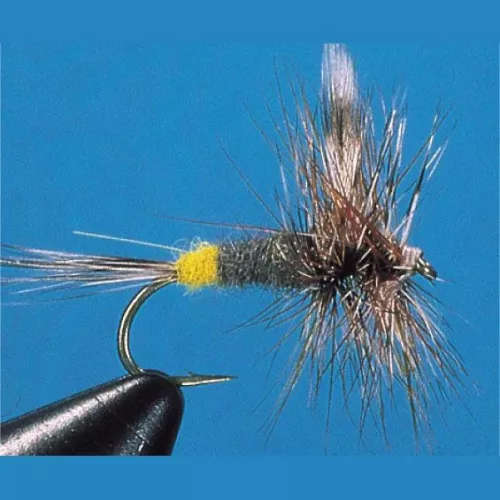 Traun River Adams Female 53-3206