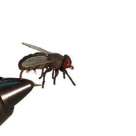 Traun River Black Fly