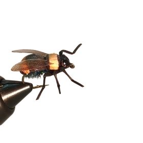 Traun River Bumblebee Orange