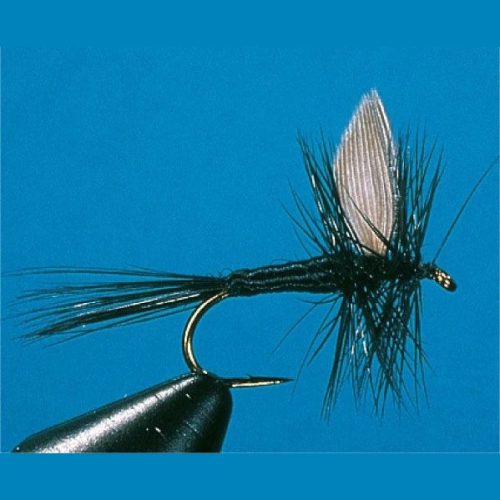 Traun River Black Gnat 54-0107