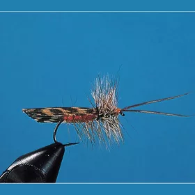 Traun River Brown And Grizzly Sedge 54-0108