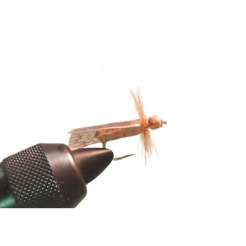Traun River Brown Caddis