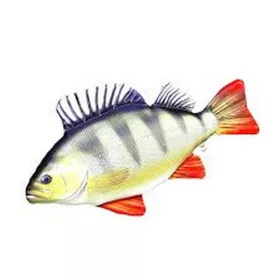 HALAS PÁRNA SÜGÉR 50CM