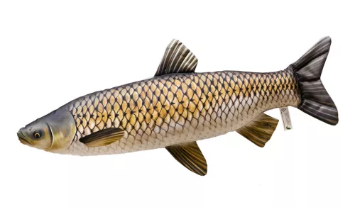 HALAS PÁRNA AMUR 75CM