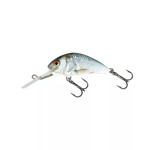 SALMO WOBBLER HORNET H5F RD