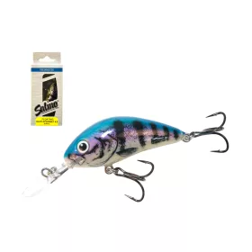 SALMO WOBBLER RATTLIN HORNET H4.5F BUP
