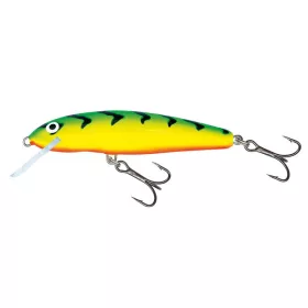 SALMO WOBBLER MINNOW M6F GT