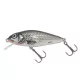 SALMO WOBBLER PERCH PH8F HGS