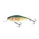 SALMO WOBBLER EXECUTOR IEX7SR RR