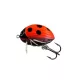 SALMO WOBBLER LIL BUG BG3F LB