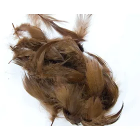 Traun River Mallard (Vadkacsa Toll) Barna