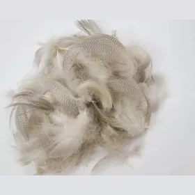 Traun River Mallard (Vadkacsa Toll) Natúr