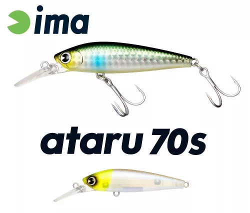 IMA ATARU 70S 70mm 11gr 008 Chart Head Theresa