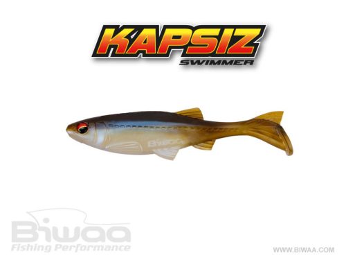 BIWAA KAPSIZ 4" 10cm 106 Wakasagi