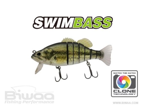 BIWAA SWIMBASS 6" SLOW SINK 15cm 65gr 01 Real Bass