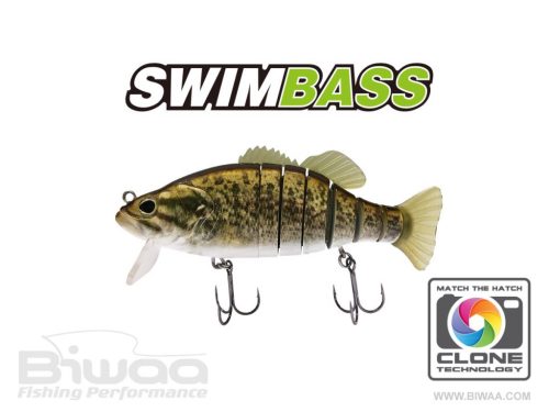BIWAA SWIMBASS 6" SLOW SINK 15cm 65gr 35 Smallie