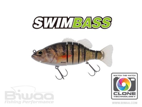 BIWAA SWIMBASS 6" SLOW SINK 15cm 65gr 02 Real Perch