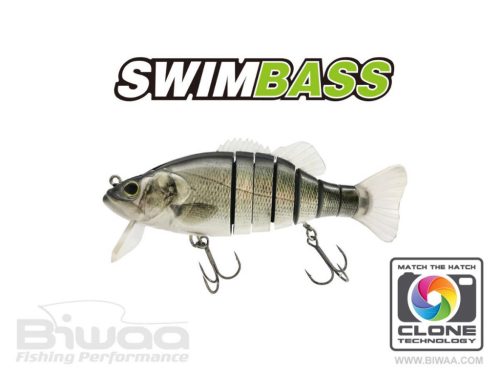 BIWAA SWIMBASS 6" SLOW SINK 15cm 65gr 51 Brazino