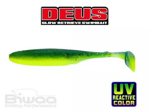 BIWAA DEUS 6" 15cm 105 Perch Chart