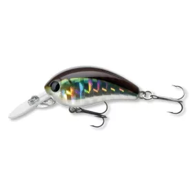 Daiwa Tournament Baby Crank 35F-SR Kibinago