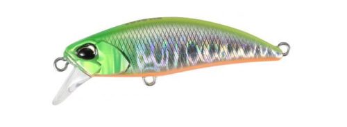 DUO TETRA WORKS TOTO 48HS 4.8cm 4.3gr CPA0601 Lime Head Chart OB
