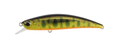 DUO SPEARHEAD RYUKI 70SP 7cm 4.1gr MCC4084 Gold Yamame