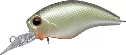 EVERGREEN WILDHUNCH SR 5.2cm 10gr #251 SECRET CHART