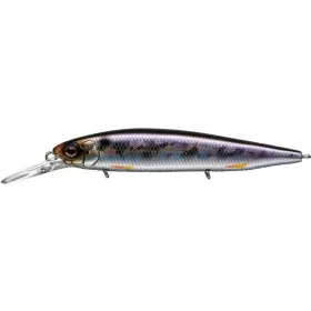 EVERGREEN FAITH 87 8.7cm 8.5gr #209 HOROGRAM WAKASAGI