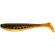 FISHUP Wizzle Shad 8" (1pcs.), #360 - Snakehead